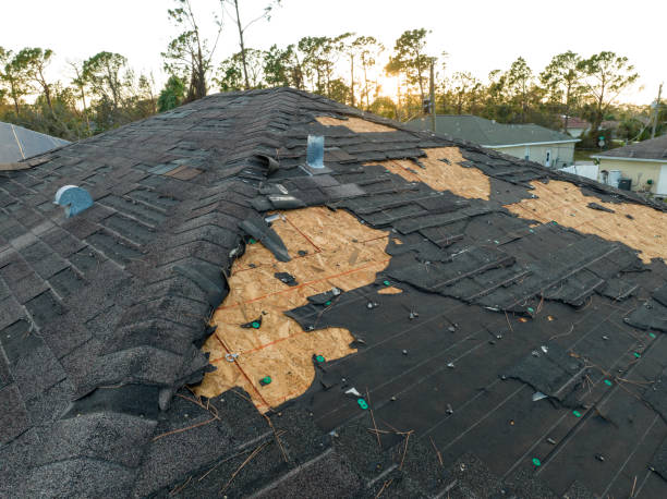 Best Gutter Installation and Repair  in Pocatello, ID